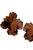 Flower Earrings | Brown