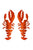 Earrings Lobster | Orange