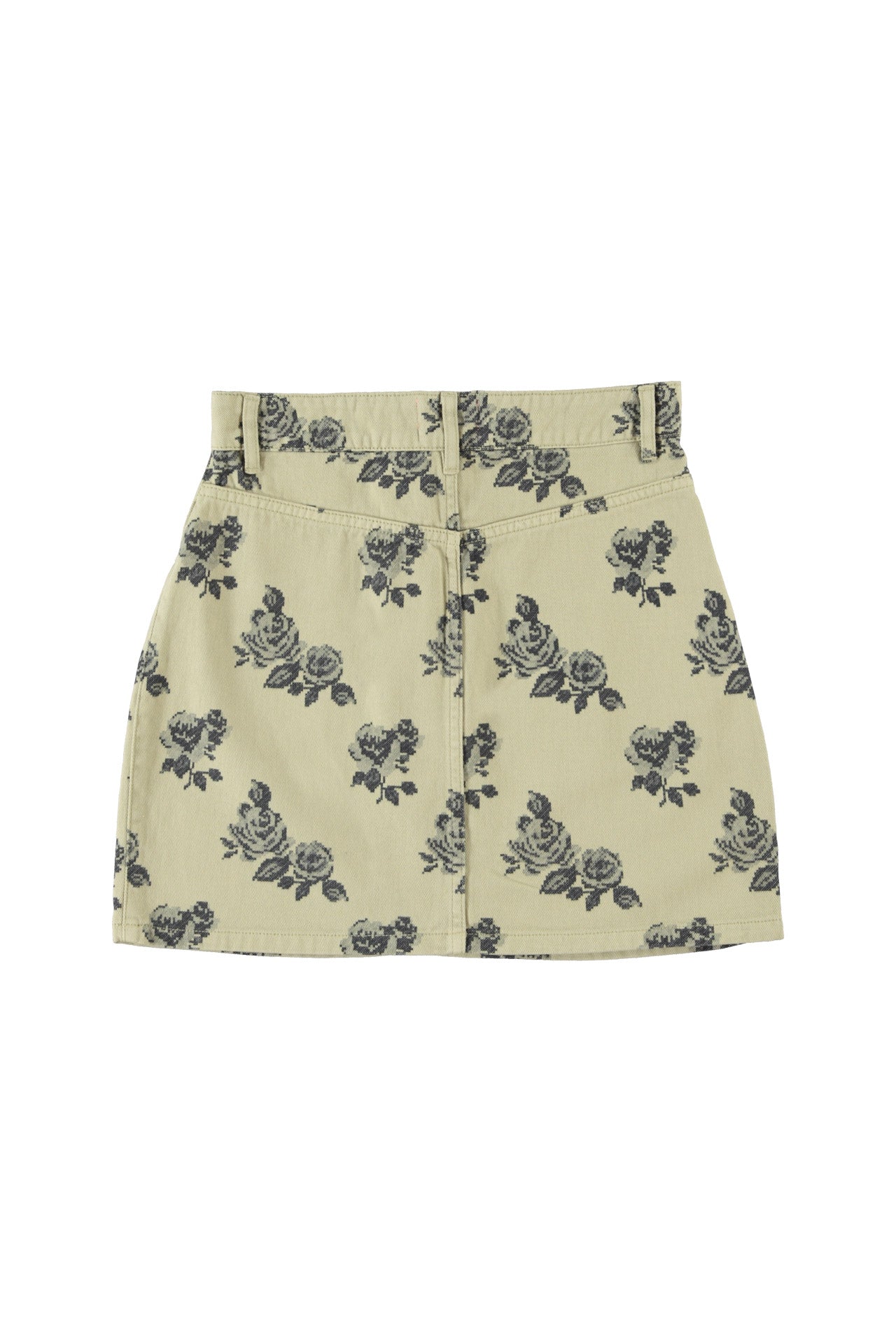 Short skirt | Light green w/ black roses